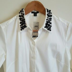 Ann Taylor | Button Down Shirt